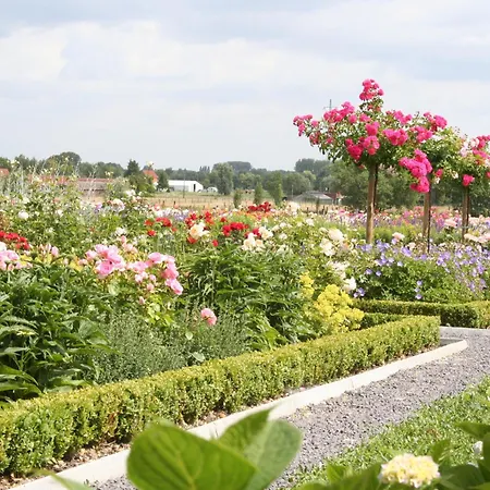 La Vie En Roses Bed & Breakfast Moorsel