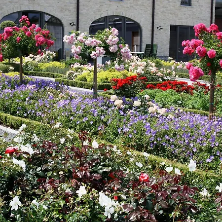 Bed & Breakfast La Vie En Roses 4*